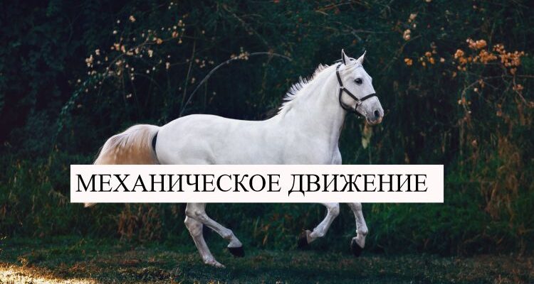 Механическое движение